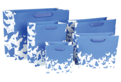 Flutter Collection