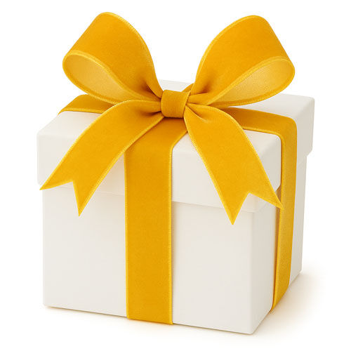 Velvet Ribbon Velvet Ribbon