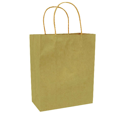 Paper Bags