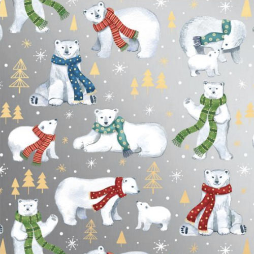 Jillson Winter Bear